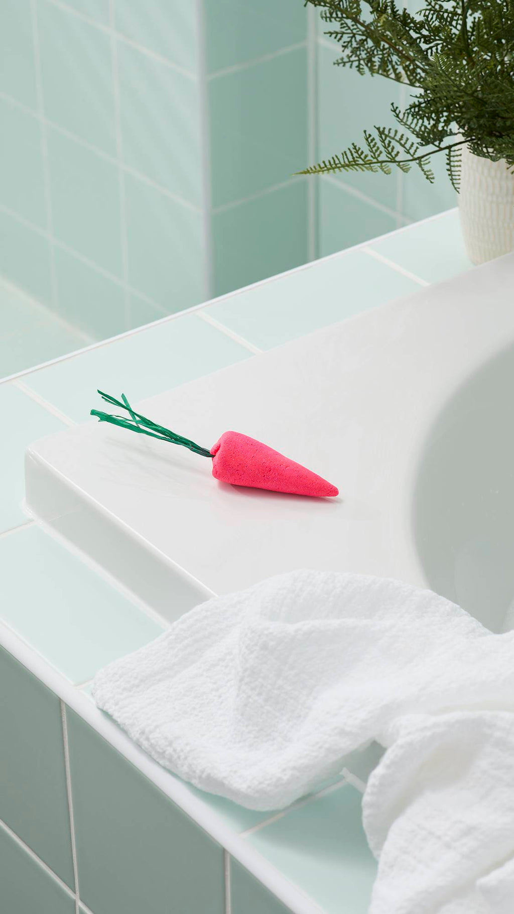 Baby Rainbow Carrots - 40g